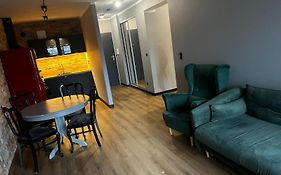 Apartament Z Widokiem Na Stadion Styl Industrialny Jedyny Taki Check In 24 H